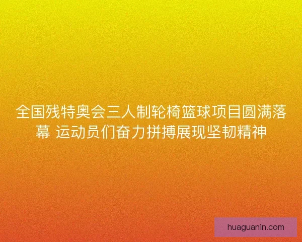全国残特奥会三人制轮椅篮球项目圆满落幕 运动员们奋力拼搏展现坚韧精神 全国残特奥会三人制轮椅篮球项目圆满落幕 运动员们奋力拼搏展现坚韧精神